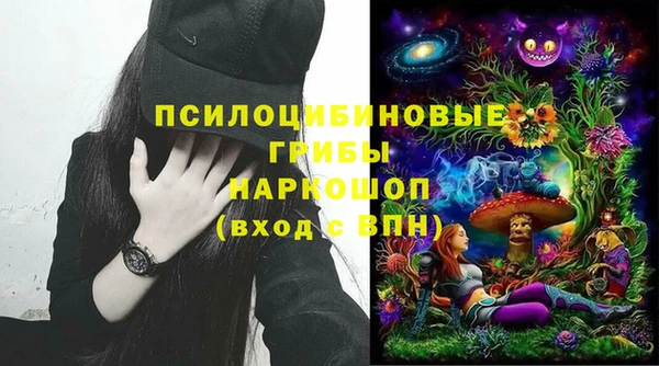 бошки Волоколамск