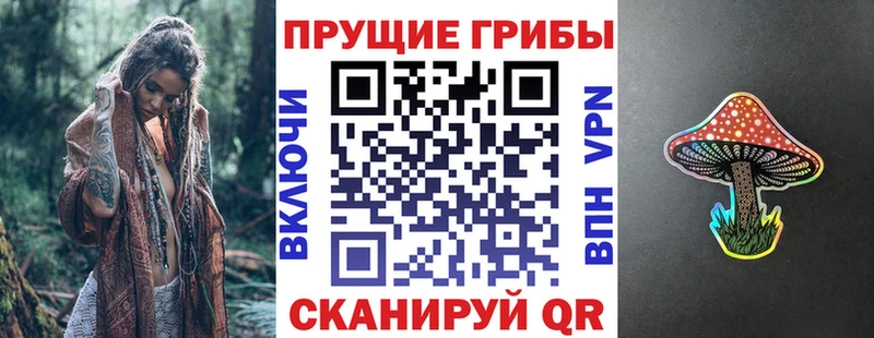 блэк спрут рабочий сайт  где купить наркоту  Приозерск  Галлюциногенные грибы MAGIC MUSHROOMS 