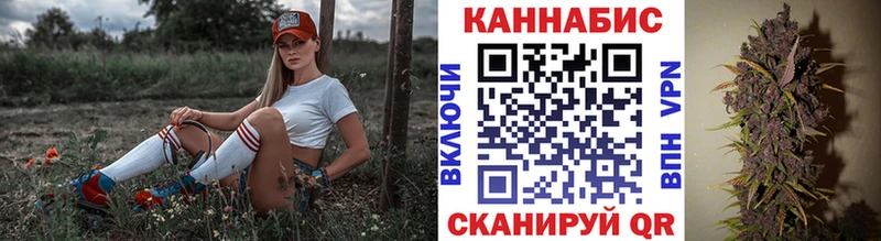 как найти закладки  Приозерск  Бошки марихуана сатива 